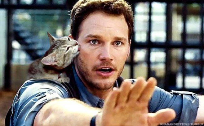 Jurassic World : il remplace les dinosaures par des chats #10