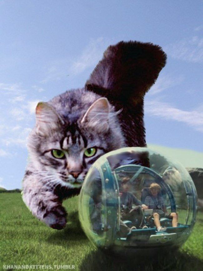 Jurassic World : il remplace les dinosaures par des chats #7