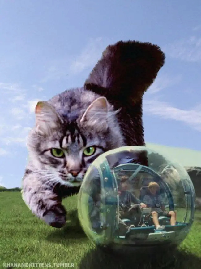 Jurassic World : il remplace les dinosaures par des chats #7