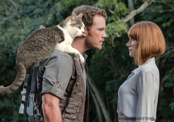 Jurassic World : il remplace les dinosaures par des chats #4