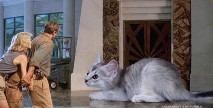 Jurassic World : il remplace les dinosaures par des chats #21