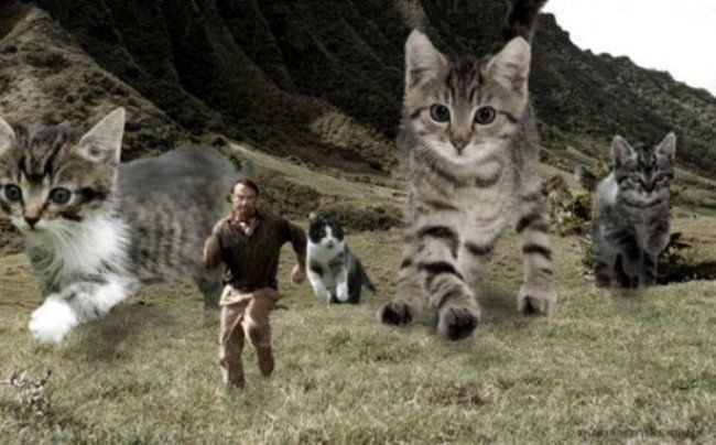 Jurassic World : il remplace les dinosaures par des chats #20