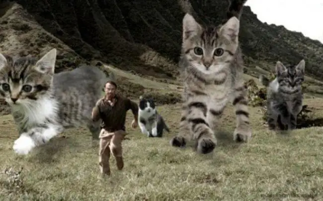Jurassic World : il remplace les dinosaures par des chats #20