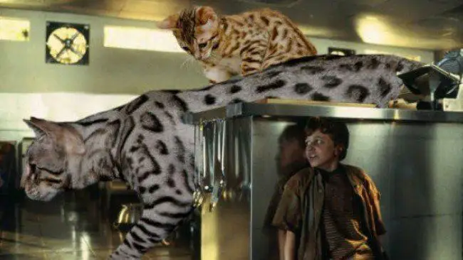 Jurassic World : il remplace les dinosaures par des chats #18