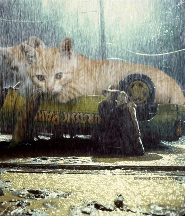 Jurassic World : il remplace les dinosaures par des chats #23
