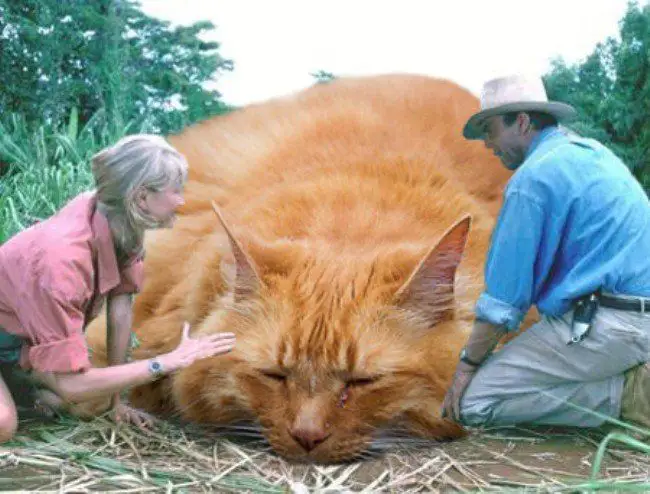 Jurassic World : il remplace les dinosaures par des chats #14