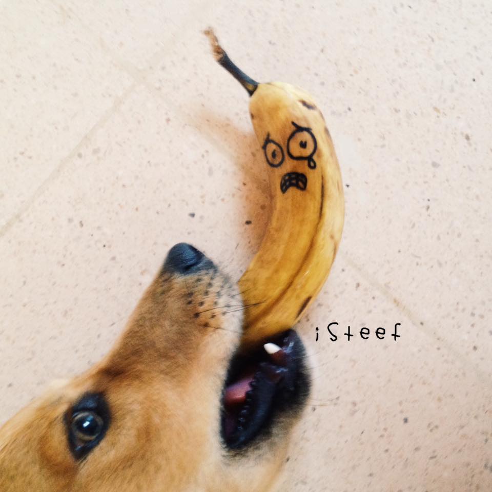 D’incroyables sculptures sur Bananes #17