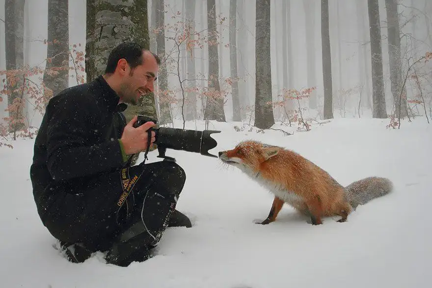 Ces animaux qui se prennent pour des photographes