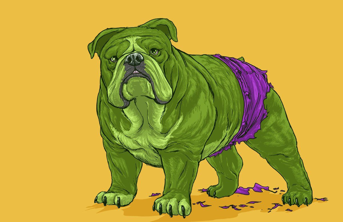 Si les super-héros Marvel étaient des chiens ? #15