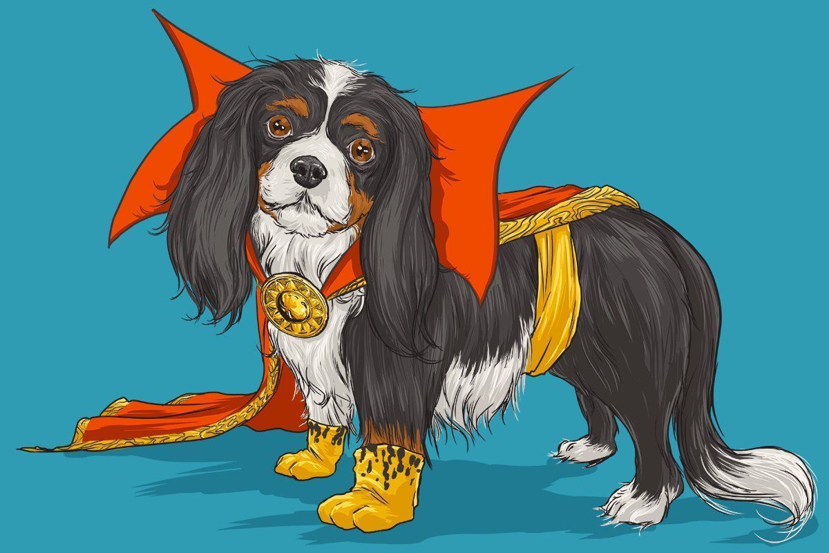 Si les super-héros Marvel étaient des chiens ? #12