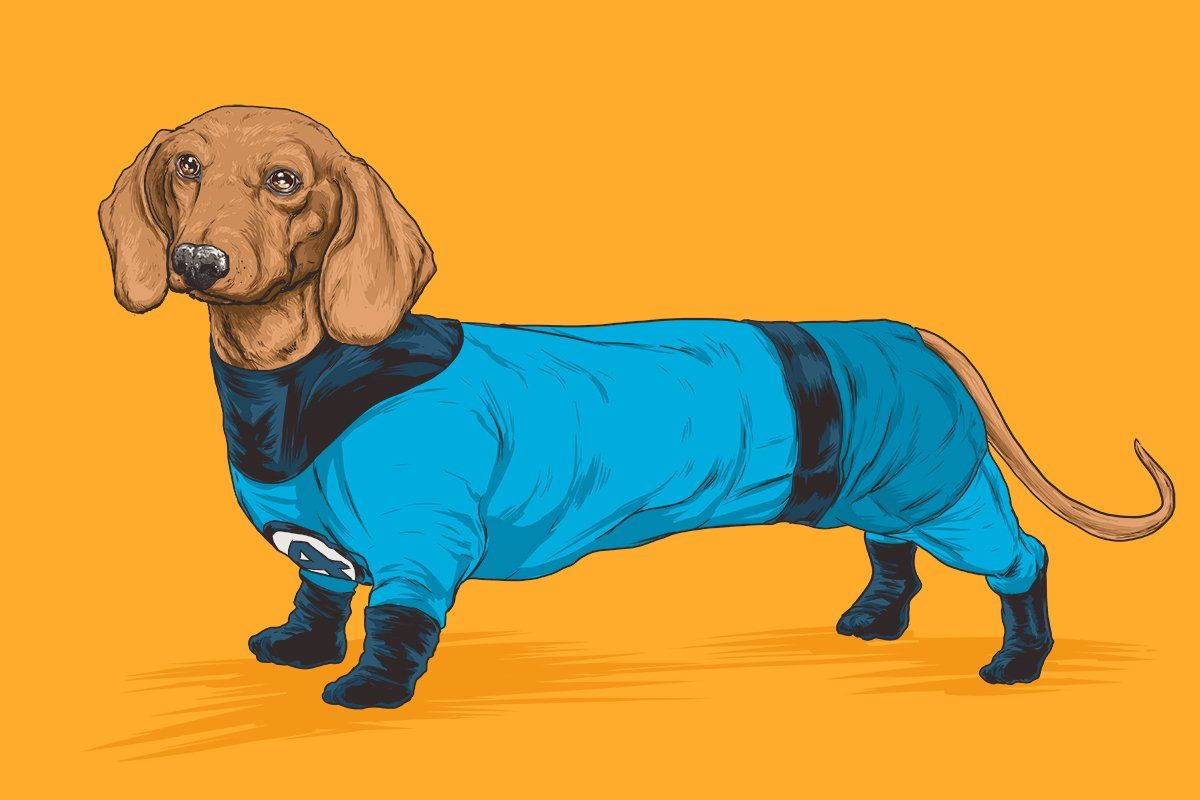 Si les super-héros Marvel étaient des chiens ? #5
