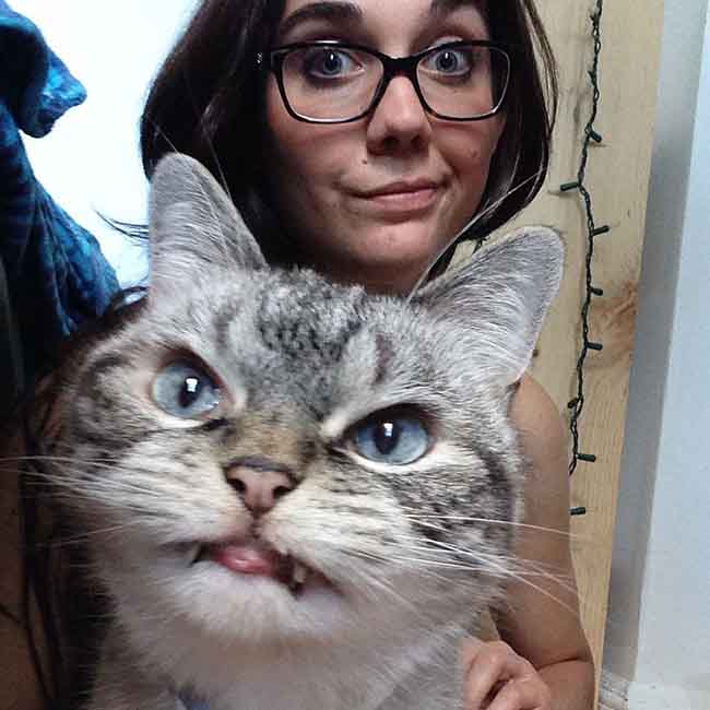 Loki, le chat vampire le plus attachant d’Instagram #3