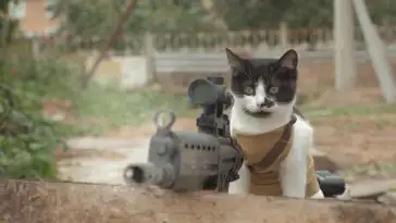 Cats vs Zombies : ça va saigner