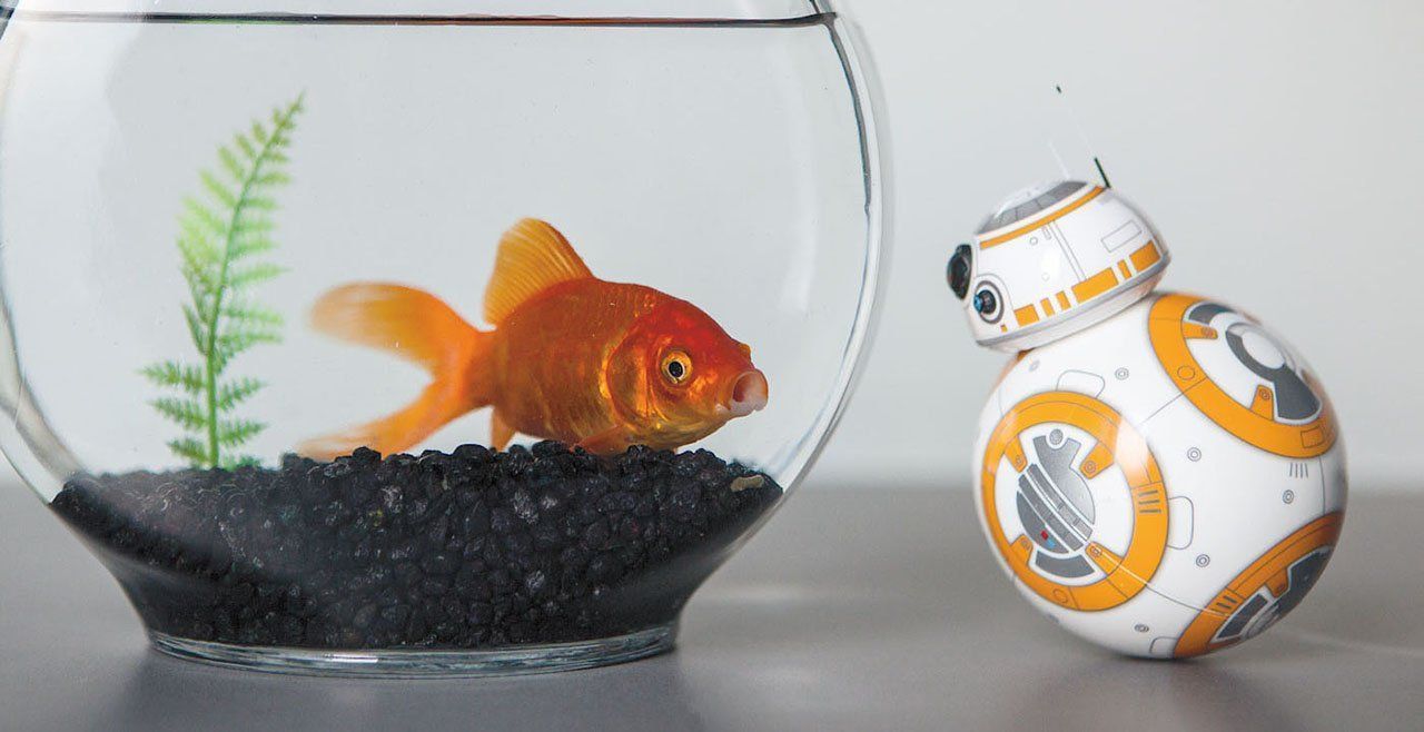 Achetez un droïde BB8 télécommandé #4