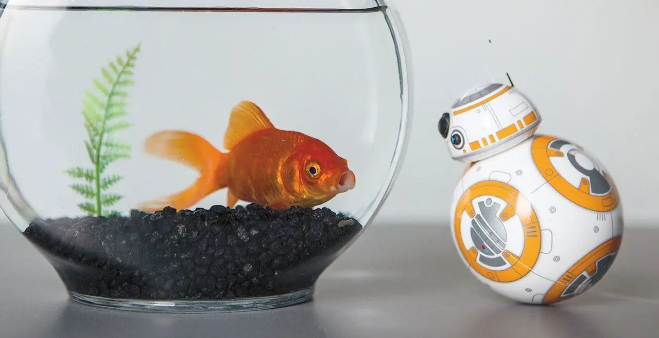 Des droïdes BB8 téléguidés