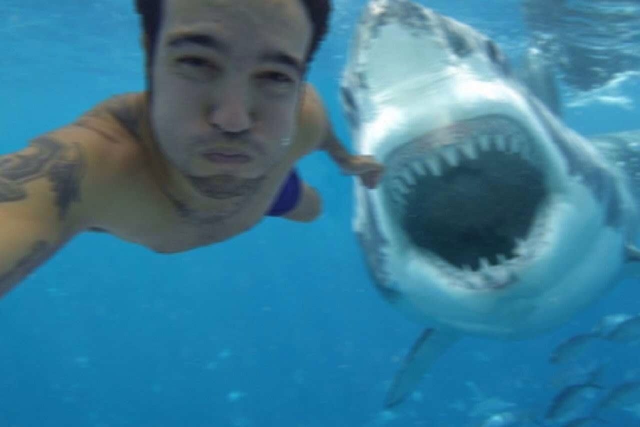 Plus de morts en 2015 à cause de selfies que d’attaques de requins #4