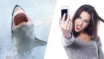 Plus de morts en 2015 à cause de selfies que d’attaques de requins