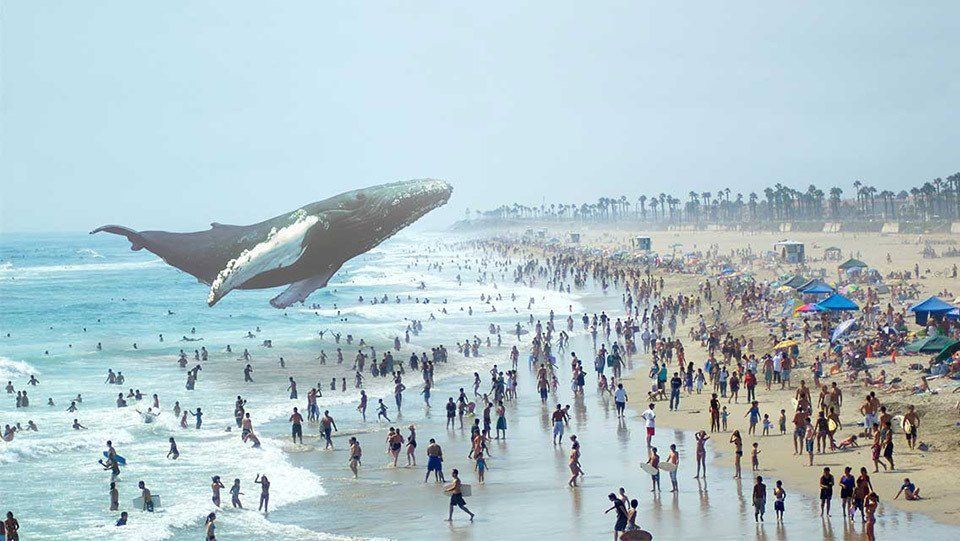 Magic Leap fait une démonstration bluffante de réalité augmentée interactive #3