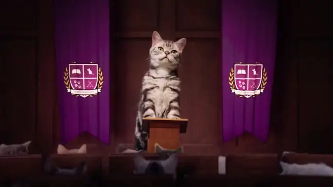 Kitten Kollege : une université pour les Chatons #2