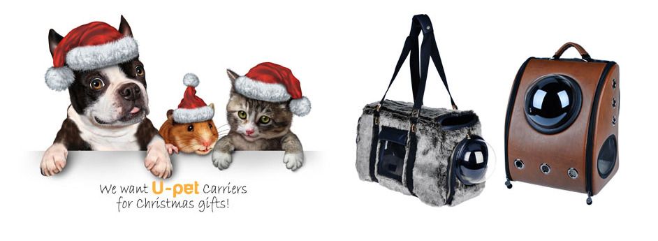 Un sac à dos à hublot pour transporter son chat #16