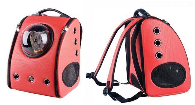 Un sac à dos à hublot pour transporter son chat #2