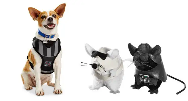 Des accessoires Star Wars pour chiens et chats