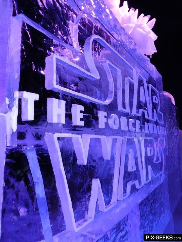 Ice Star Wars : une exposition qui ne vous laissera pas de glace #18