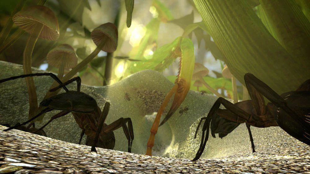 Ant Simulator : le budget a été dilapidé pour de l'alcool et des prostitués