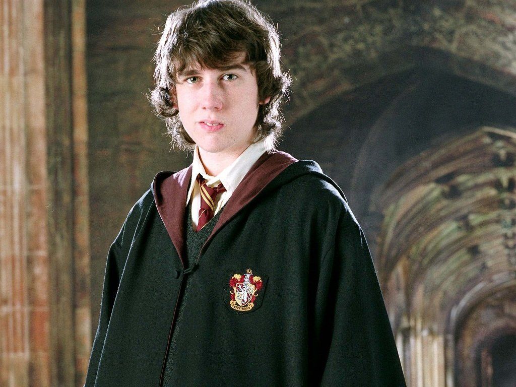 Harry Potter et l’Enfant Maudit : 19 ans après que sont-ils devenus ? #2