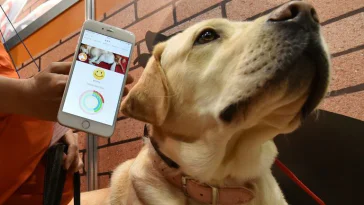 Avec Anicall découvrez enfin ce que pense votre chien ou votre chat