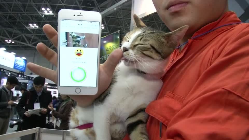 Avec Anicall découvrez enfin ce que pense votre chien ou votre chat