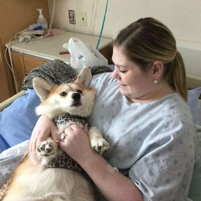 Depuis que cet hôpital accepte les visites d’animaux ses patients vont mieux #7
