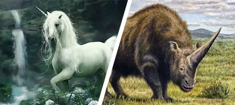 Les licornes ont vraiment existé mais elles ne ressemblent pas à ce que vous imaginiez