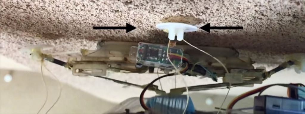 Ce drone peut se poser au mur ou au plafond comme un insecte