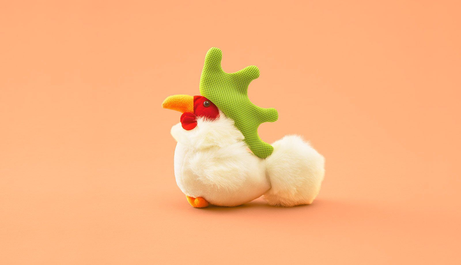 Des greffes de peluches pour inciter au don d’organes #12