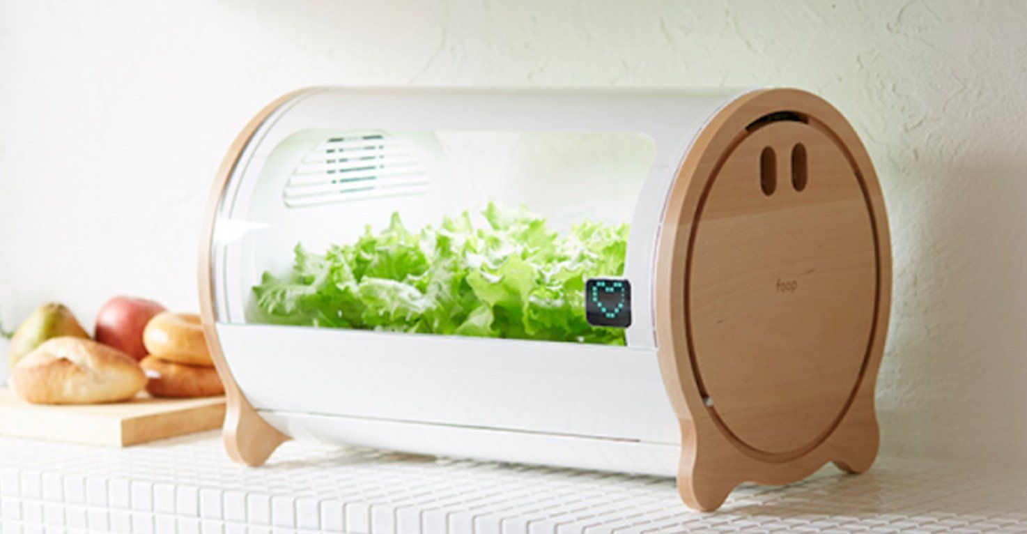 Cultivez vos légumes n’importe où avec ce potager connecté