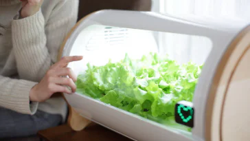 Cultivez vos légumes n’importe où avec ce potager connecté
