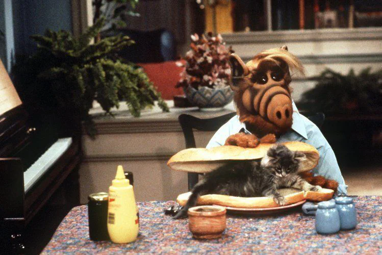 Michu Meszaros, l’acteur sous le costume de Alf est mort #2