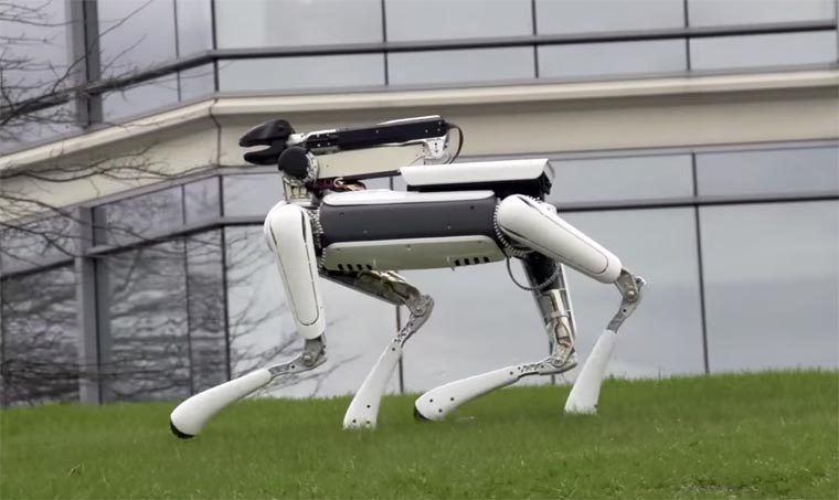 SpotMini : un robot-assistant ménager très intimidant #7