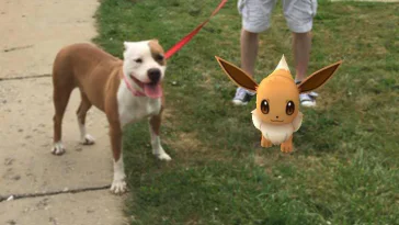 Gagnez de l’argent en jouant à Pokémon Go