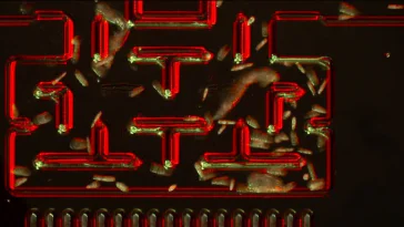 Des chercheurs jouent à Pac-Man avec des bactéries