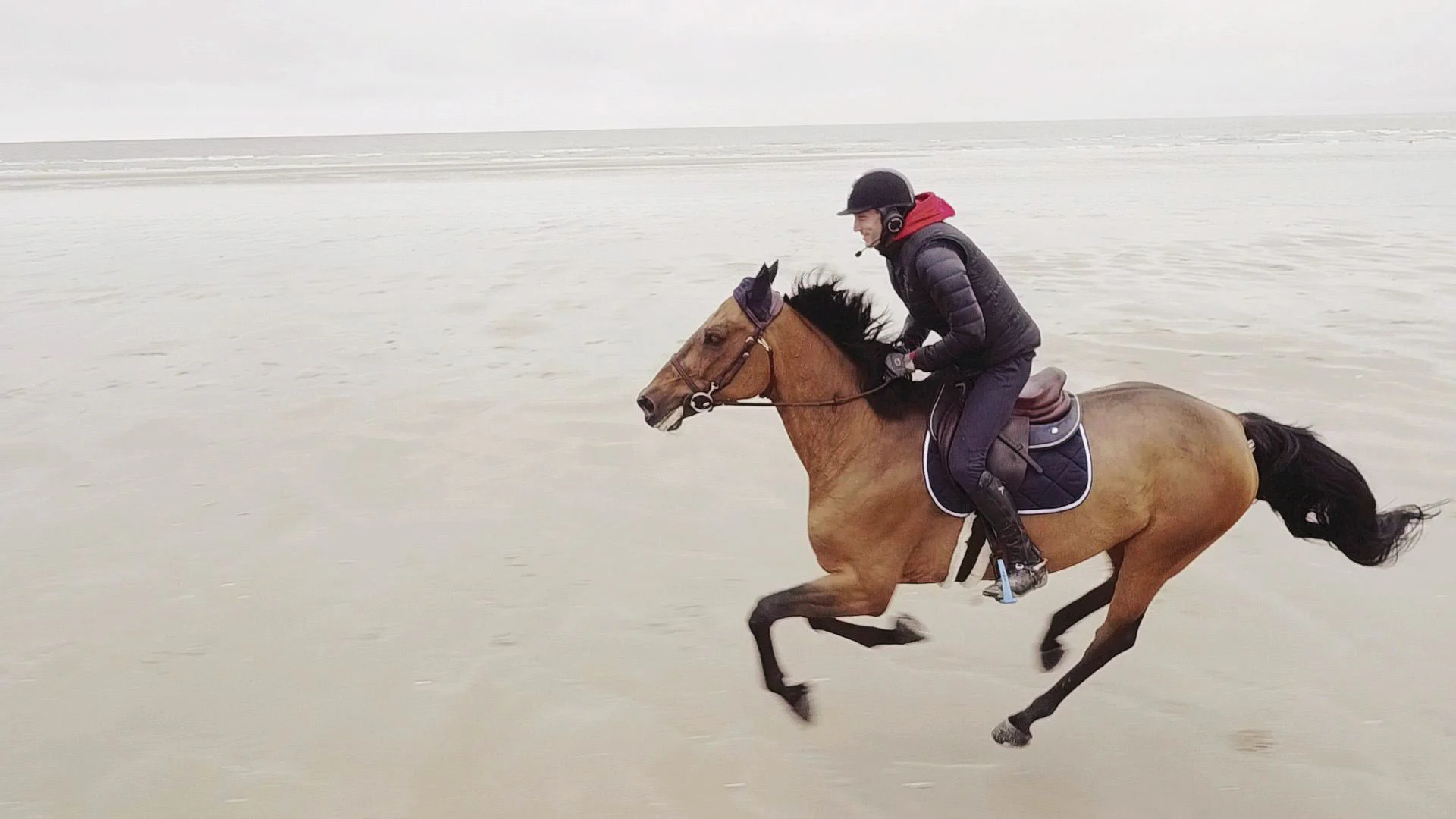 Horsecom : un baladeur pour partager votre musique avec votre cheval #2