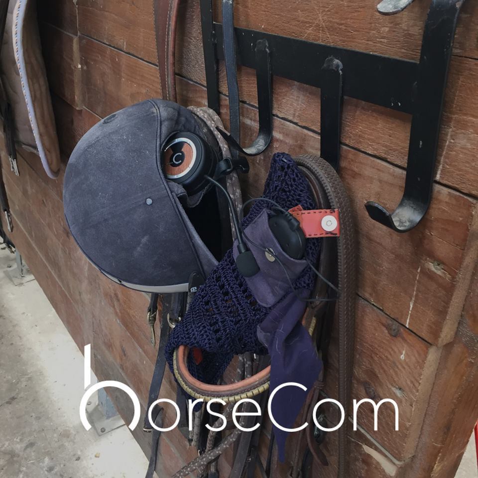 Horsecom : un baladeur pour partager votre musique avec votre cheval #10
