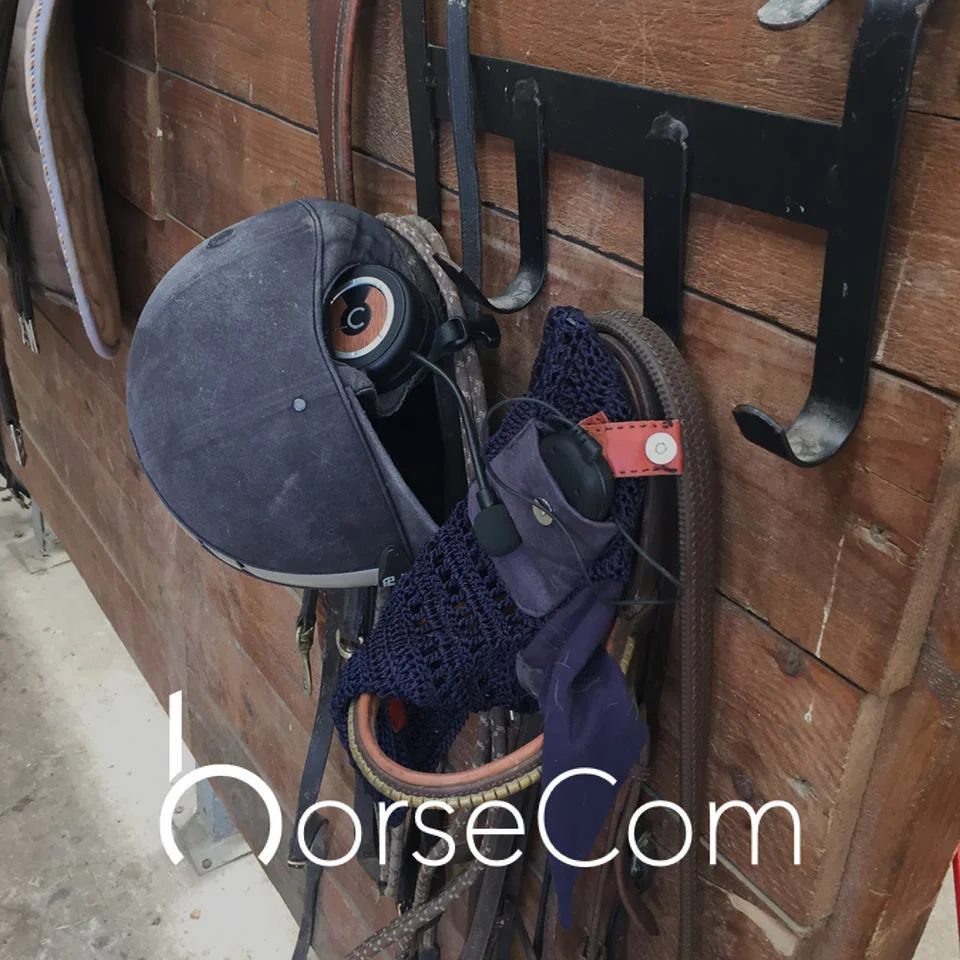 Horsecom : un baladeur pour partager votre musique avec votre cheval #3