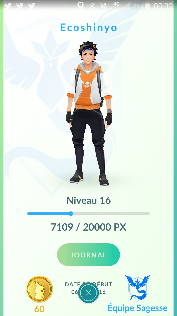 Pokémon GO : le guide complet du jeu #9
