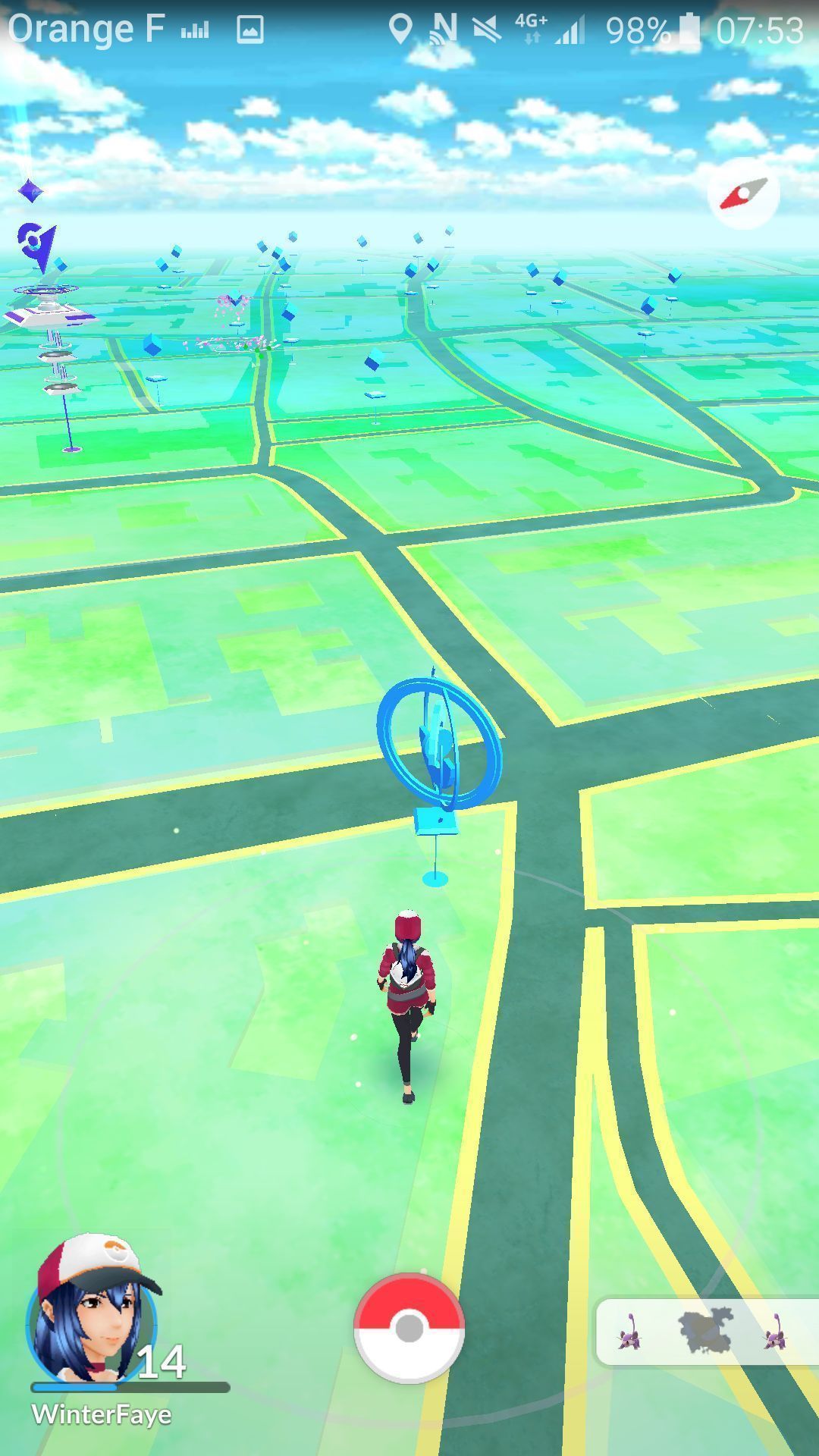 Pokémon GO : le guide complet du jeu #14
