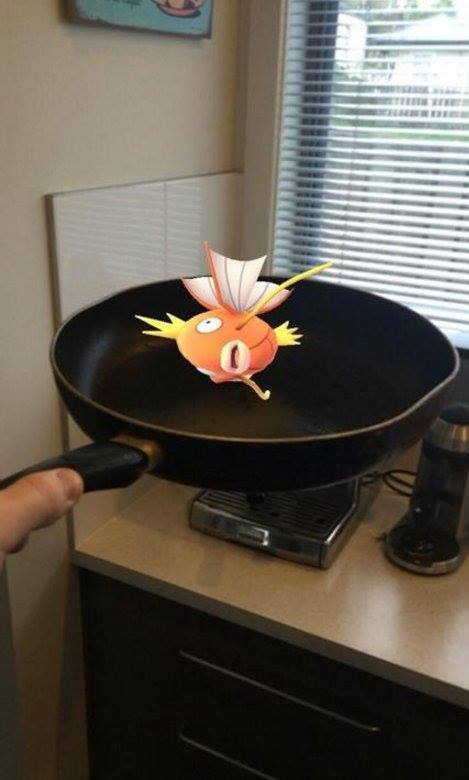 Quand des Pokemons s’invitent dans des endroits incongrus #6