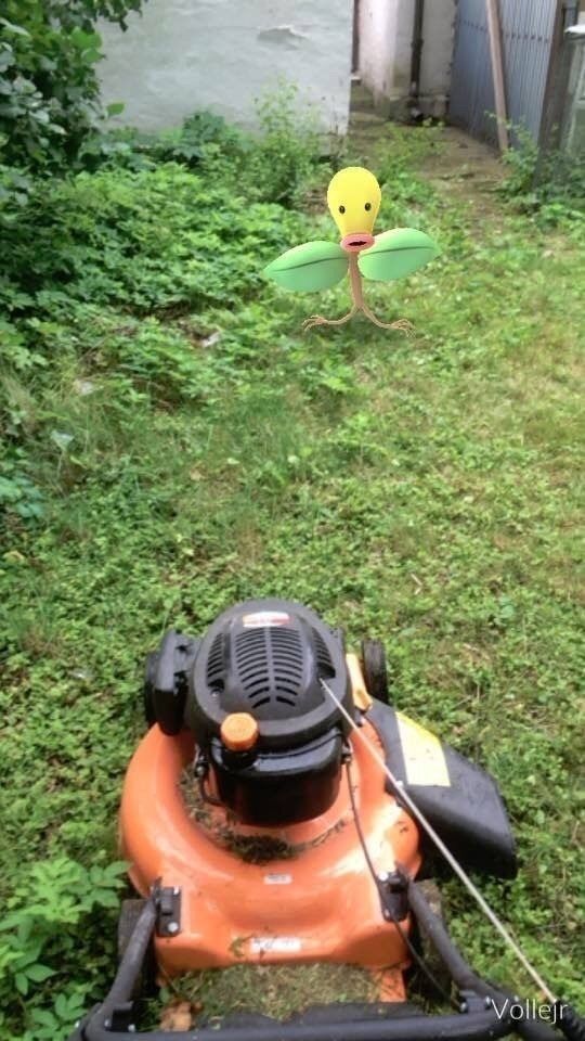Quand des Pokemons s’invitent dans des endroits incongrus #2