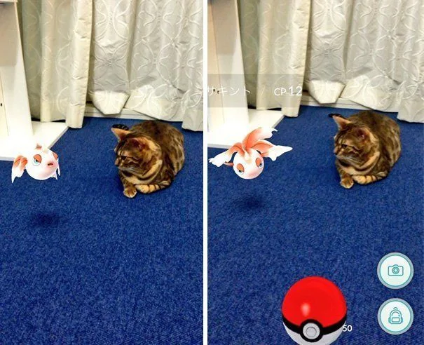 Paranormal : les animaux sont-ils capables de « voir » les Pokémon ? #13