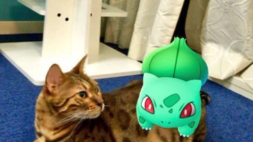Paranormal : les animaux sont-ils capables de « voir » les Pokémon ?
